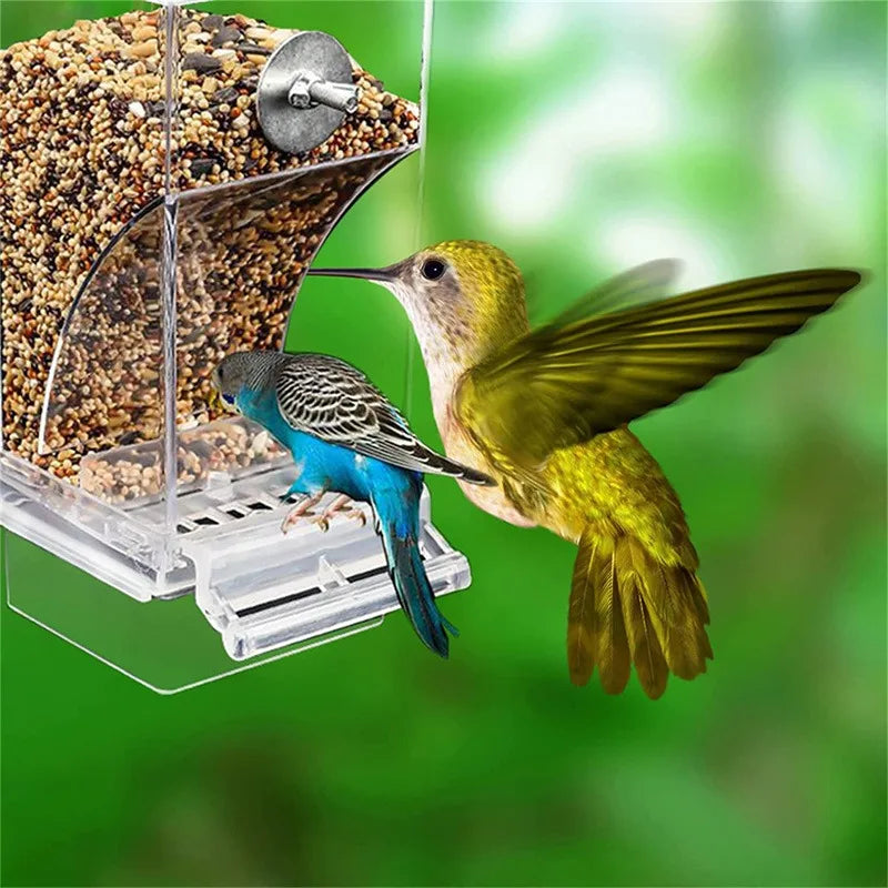 Comederos automáticos para kokopájaros