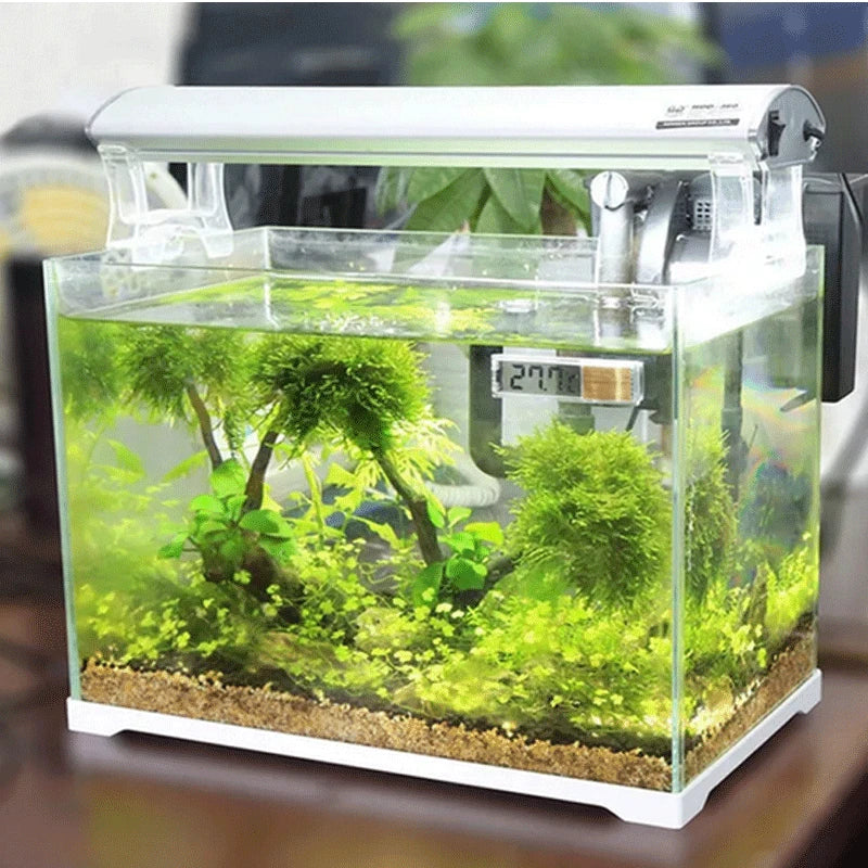 Termómetro Digital LCD electrónico para acuario