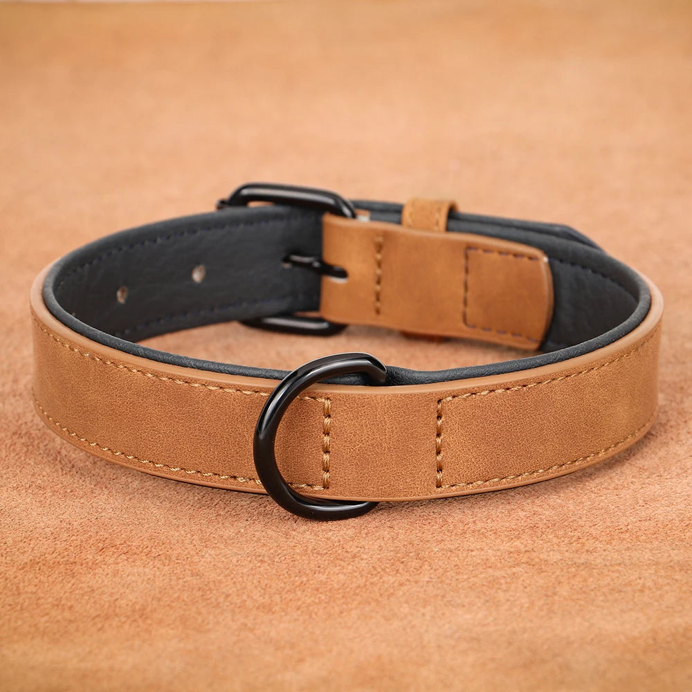 Collar de cuero acolchado con relleno
