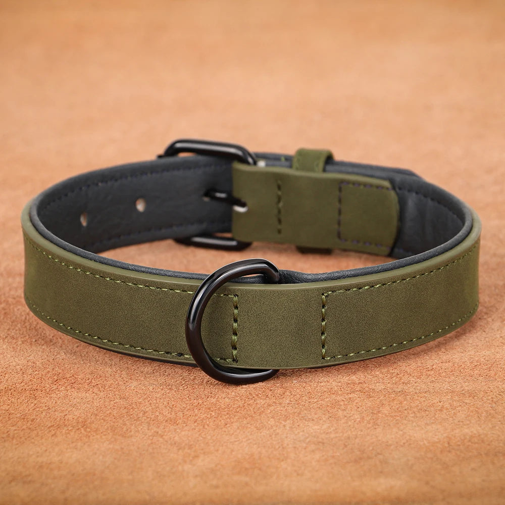 Collar de cuero acolchado con relleno