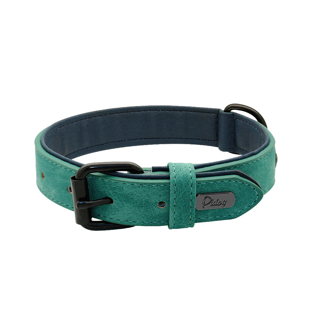 Collar de cuero acolchado con relleno
