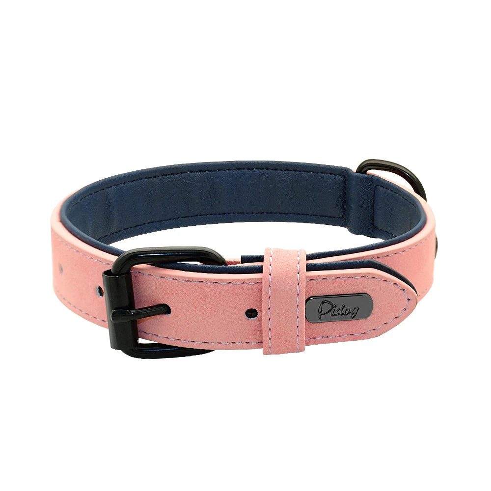 Collar de cuero acolchado con relleno