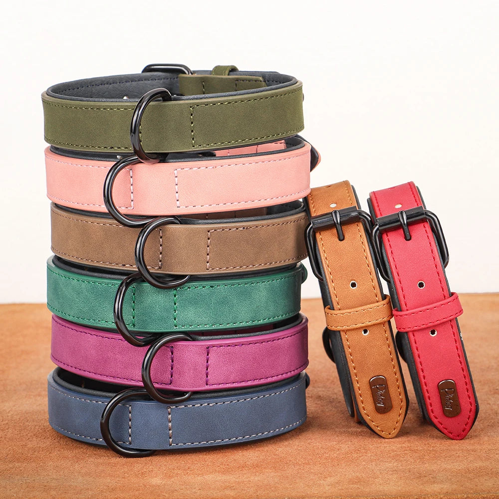 Collar de cuero acolchado con relleno