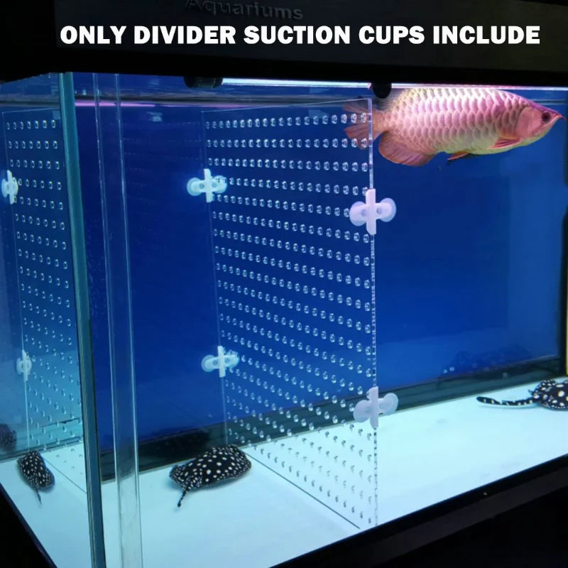 Acuarios, divisor acrílico