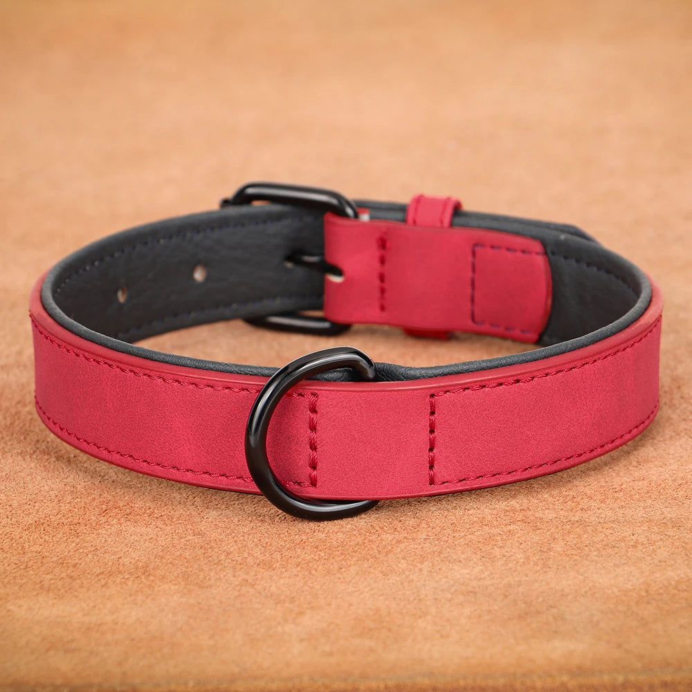 Collar de cuero acolchado con relleno