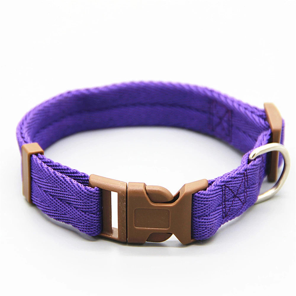 Collar ajustable para perros, gatos.