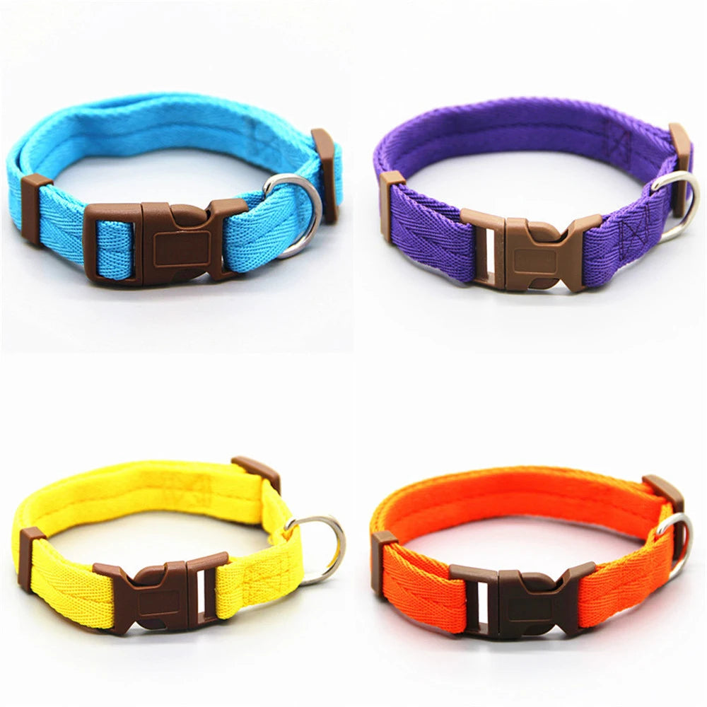 Collar ajustable para perros, gatos.