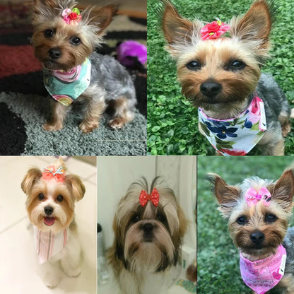 Lazos y bandas para el pelo de las maskotas