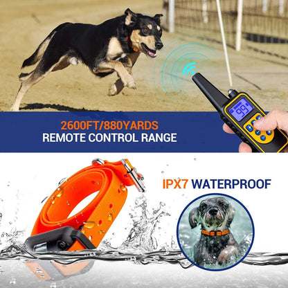 Collar eléctrico de entrenamiento para perros
