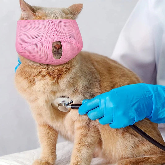 Bozal transpirable para gatos